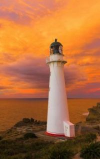 Castlepoint Lighthouse -- North-Island New-Zealand at Sunrise