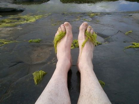 seaweed toes