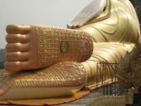 Feet