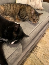 Brothers
