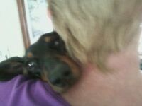 DRUCILLA JULY 14,2011