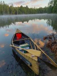 20200905_063654_HDR