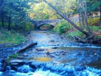 Beautiful stream