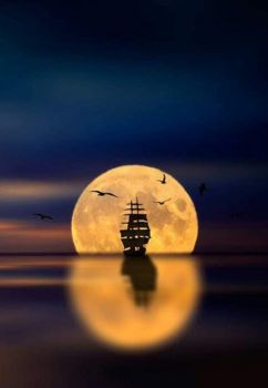Moonlight sail!