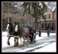 Theme: Horses - Sleigh ride at President Hayes Home