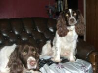 Harriet and Spud