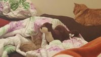 nap time
