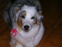 Sheila