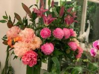 IMG-20211106-WA0000