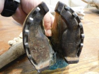 Oxen Shoes