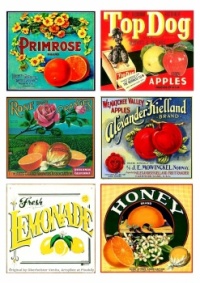 Fruit labels 🍊🍋🍎