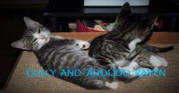 My baby's