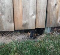What are you doing out there?
