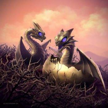 Baby dragons with purple eyes
