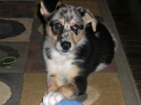 First day at home