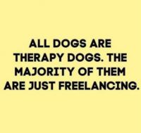 Dogs :-)