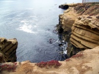 Sunset Cliffs - Looking Down at the Pacific Ocean