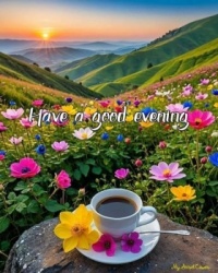 Good Night - Have a good evening