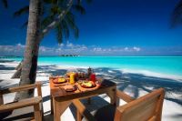 Breakfast with a Side of Paradise