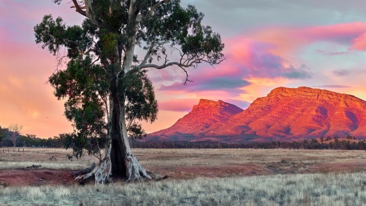 The Flinders Ranges, Australia