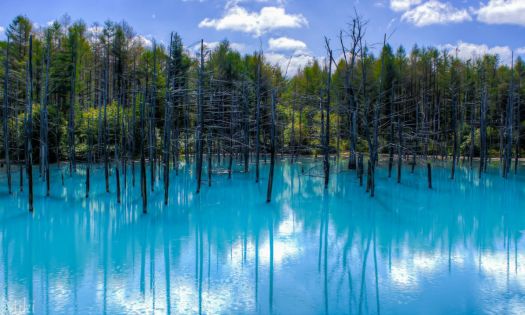 Blue Pond, Japan