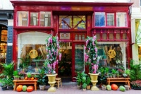 Flower shop in Amsterdam, Netherlands