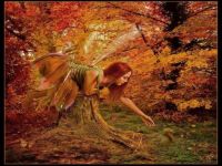 Autumn-Fairy-fairies-18321470-1024-768