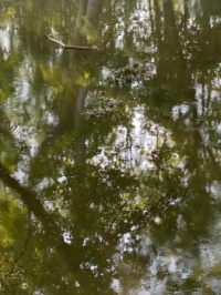 Looking at the water