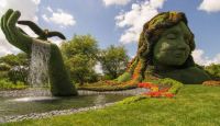 Amazing Gardens (15)