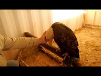 Martin Tyner, Eagle Rescue