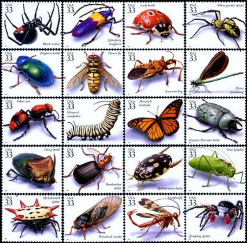 the only bugs you will catch me licking