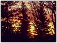 MORNING SKY