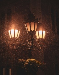 Lanterns In The Rain
