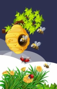 Bees-Ladybugs