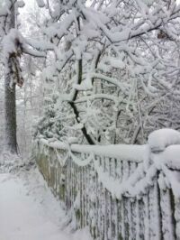 snow fence--more challenging