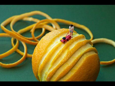 Playing With Your Food~How to Zest an Orange