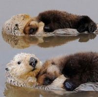 Seaotters are pretty much the best.