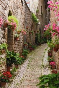 Street in Giverny, France