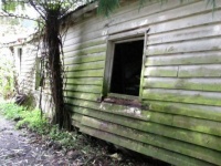 Jigsaw puzzle - Sons photos- RusticSons photos- Rustic