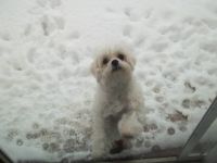 Let me in! It's cold out here!