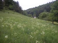 Czech Rep. - Ondříkovice