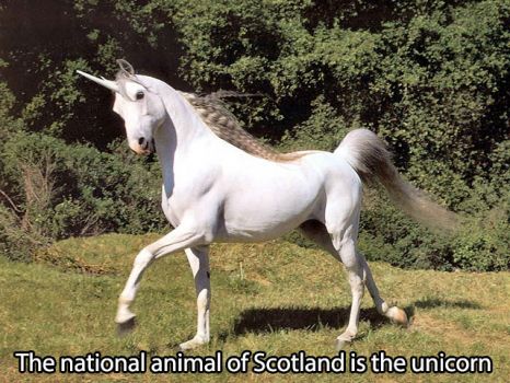 Jigsaw Puzzle | the unicorn is the national animal of Scotland | 35 pieces  | Jigidi