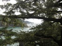 Morning on the Oregon Coast 