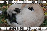 a cute/funny quote