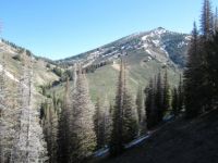Yesterdays trail
