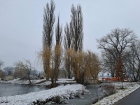 U rybníčku směrem na cyklostezku ❄️