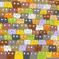 cat in owls