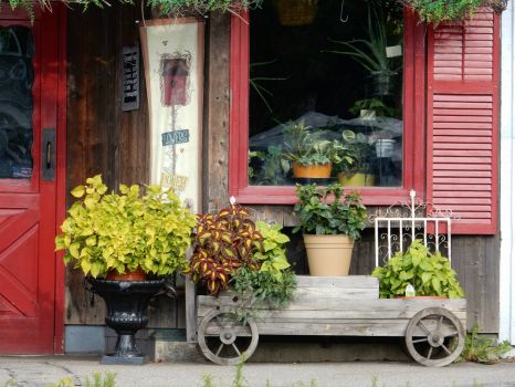 Florist in Colebrook, New Hampshire