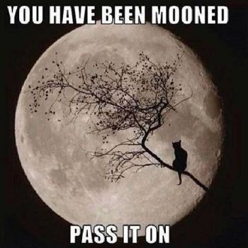 You have been mooned.....
