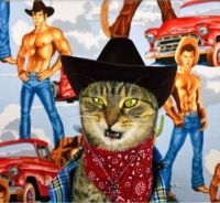 Cat Hunky Cowboys